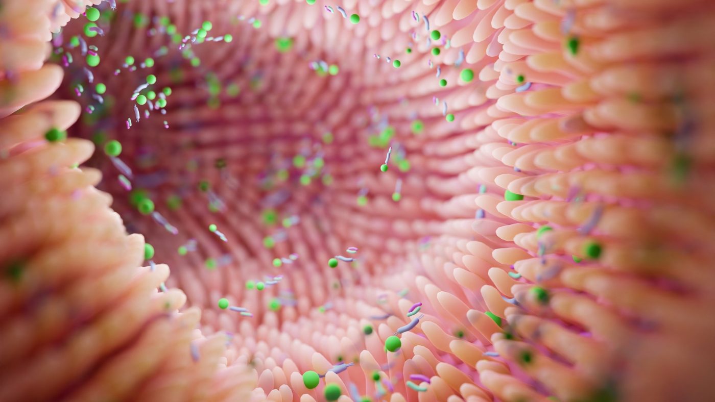 6 изненадващи факта за микробите, които живеят в червата Ви 3