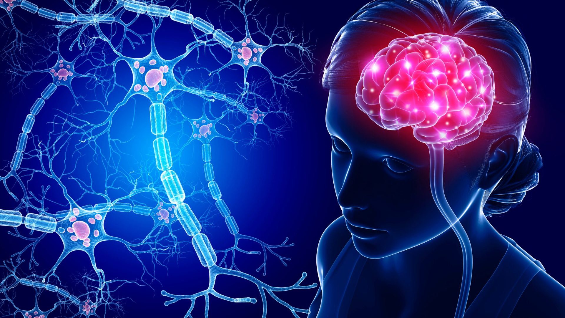 11 интересни факта за нервната система 4