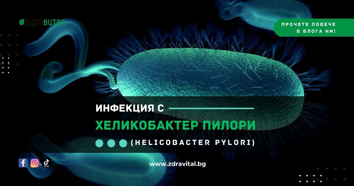 Хеликобактер пилори инфекция - симптоми, причини и лечение