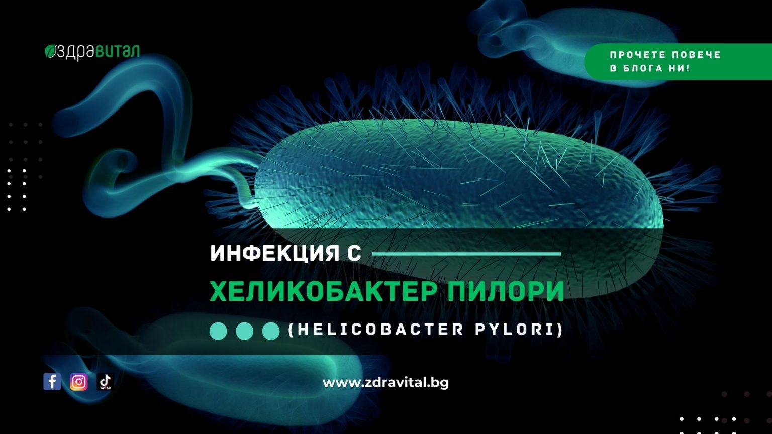Хеликобактер пилори инфекция - симптоми, причини и лечение