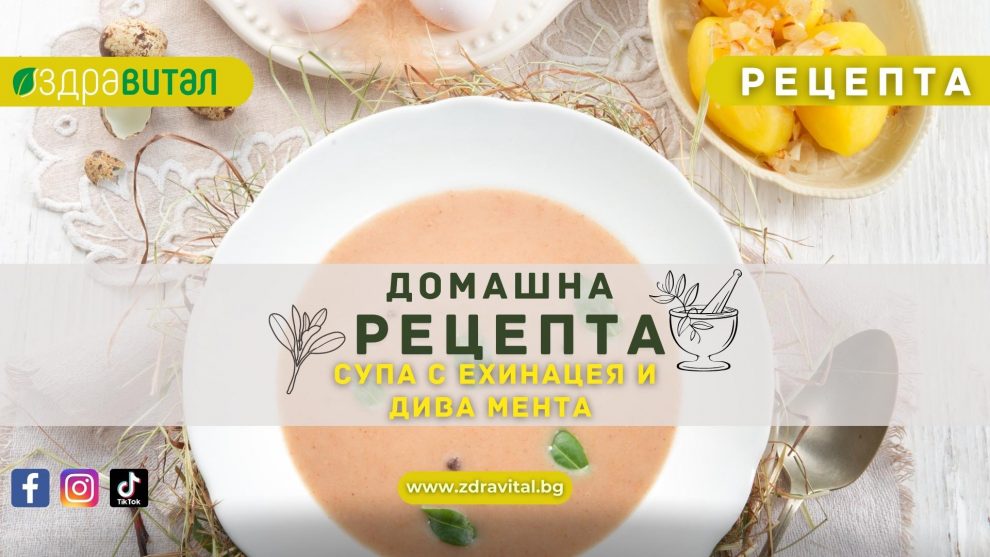 Рецепта за супа с ехинацея и дива мента - Здравитал